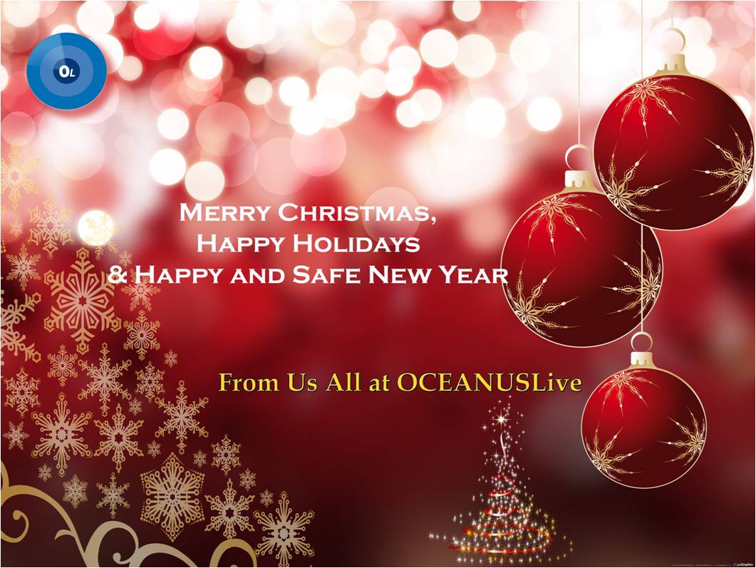 Festive Greetings Christmas Greeting